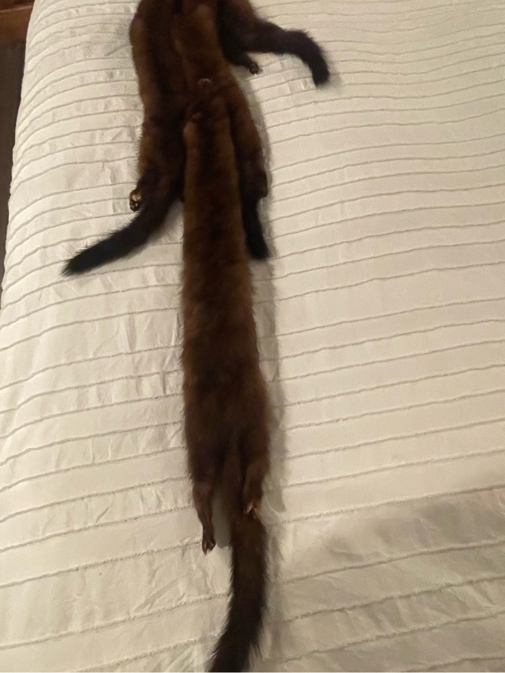 Vintage 1930's Fur mink stole with 4 pelts